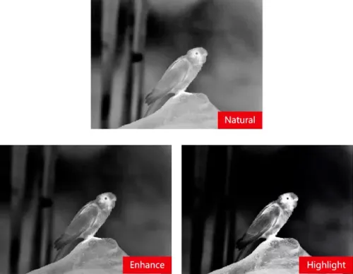 Бинокль тепловизионный Guide TN650 с дальномером картинка