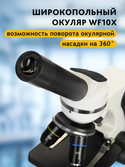 Микроскоп Levenhuk Discovery Pico с книгой картинка