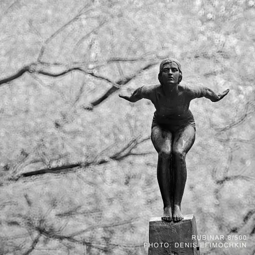 Объектив фотографический МС Рубинар 8/500 Макро изображение