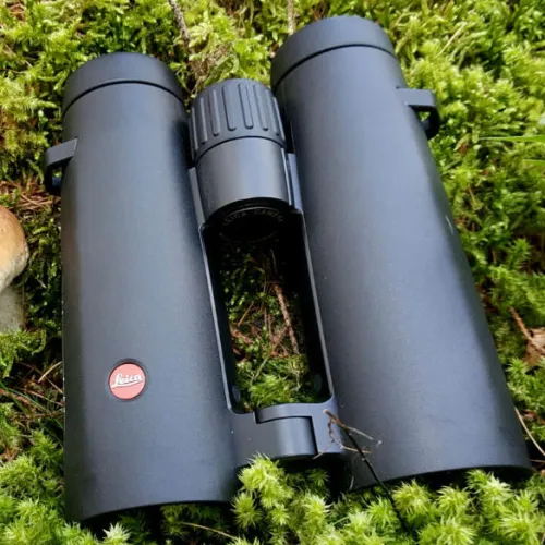 Бинокль Leica Noctivid 8x42, черный картинка
