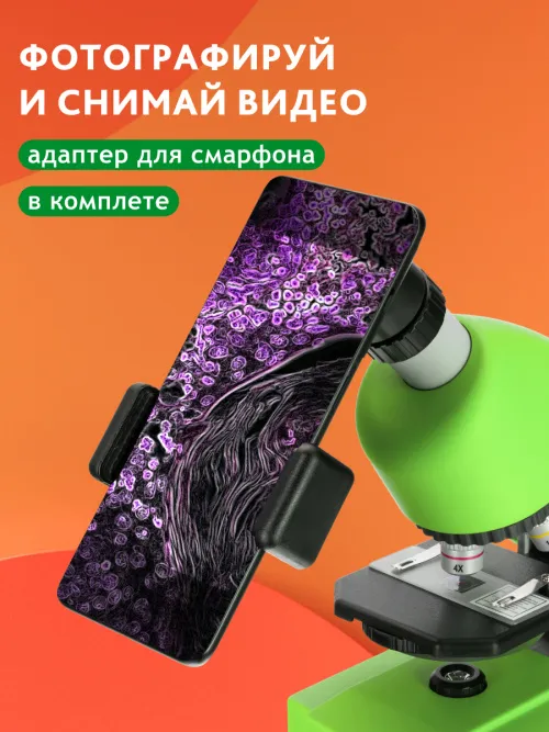 Микроскоп Bresser Junior 40–640x картинка