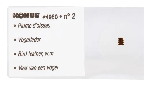 Набор микропрепаратов Konus 10: «Естественные науки» фотография