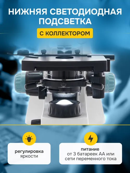 Микроскоп Levenhuk 400B, бинокулярный картинка