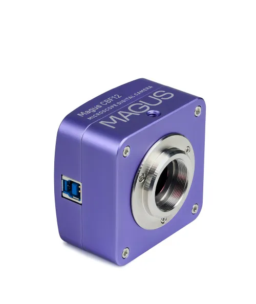 Микроскоп стереоскопический цифровой MAGUS Stereo D8T BASE фото