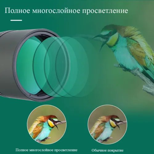 Зрительная труба SVBONY SV411 20–60x80 WP со штативом изображение