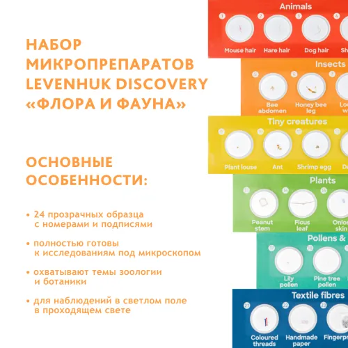 Микроскоп Levenhuk Discovery Micro с книгой изображение