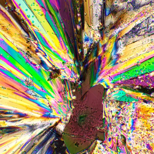 Устройство простой поляризации MAGUS SPD3 фото