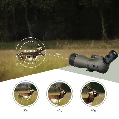 Зрительная труба SVBONY SV46 20–60x80 WP картинка