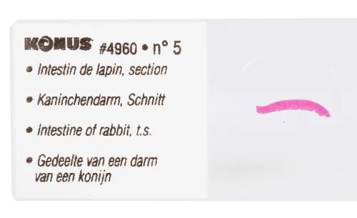 Набор микропрепаратов Konus 10: «Естественные науки» картинка