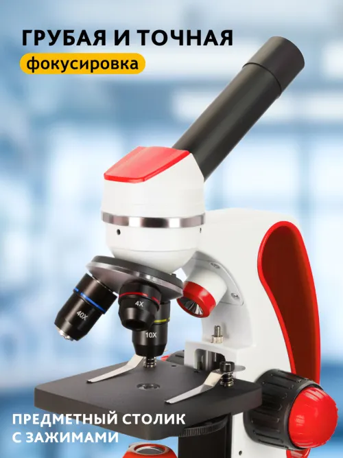 Микроскоп Levenhuk Discovery Pico с книгой фотография