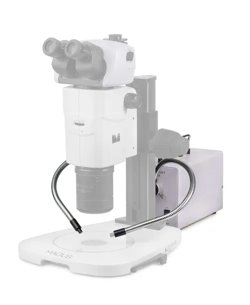 Осветитель холодным светом MAGUS CLI18T с двойным световодом фото