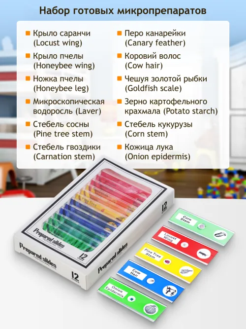 Микроскоп цифровой Levenhuk LabZZ DM200 LCD изображение