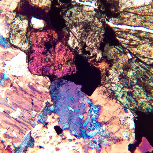 Микроскоп поляризационный MAGUS Pol 850 фото