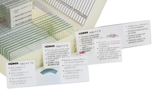 Набор микропрепаратов Konus 10: «Животные и растения. Мутации» изображение