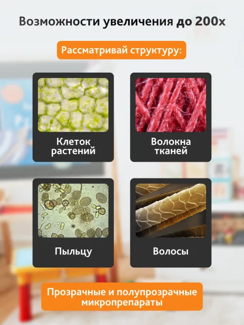 Микроскоп Levenhuk 2S NG, монокулярный картинка