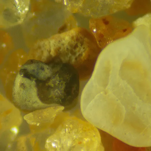 Микроскоп стереоскопический цифровой MAGUS Stereo D9T LCD фотография