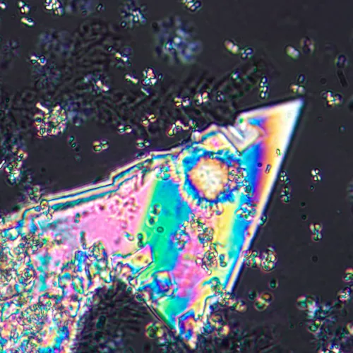 Микроскоп поляризационный цифровой MAGUS Pol D800 картинка