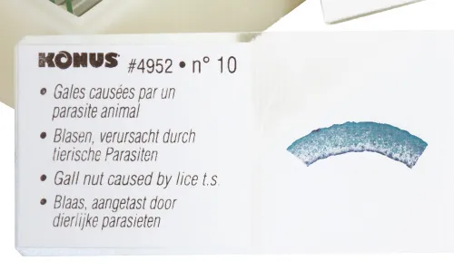 Набор микропрепаратов Konus 10: «Животные и растения. Мутации» фотография