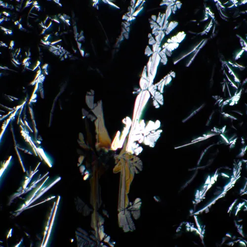 Устройство простой поляризации MAGUS SPD1 фотография