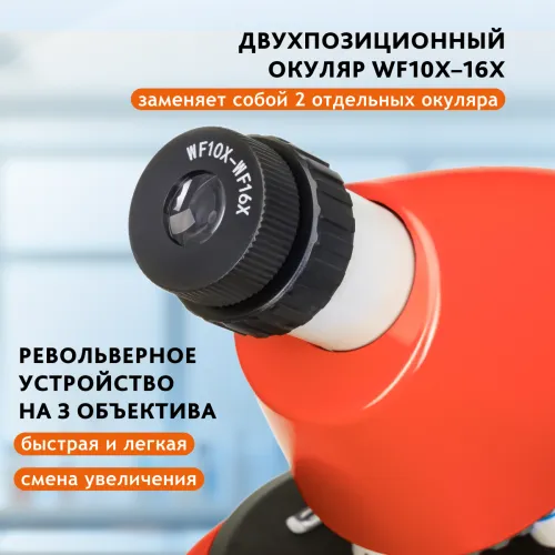 Микроскоп Levenhuk Discovery Micro с книгой картинка