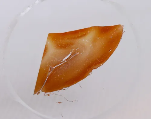 Набор микропрепаратов Konus 10: «Человеческое тело. Норма» фото