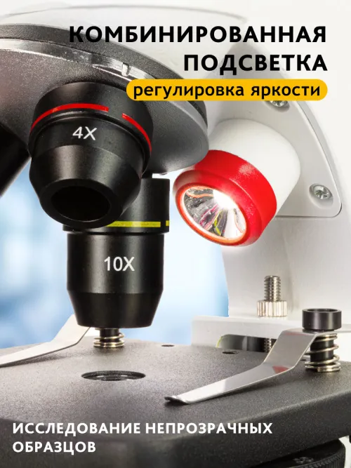 Микроскоп Levenhuk Discovery Pico с книгой фото