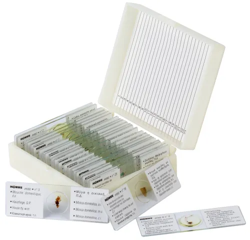 Набор микропрепаратов Konus 25: «Насекомые» изображение