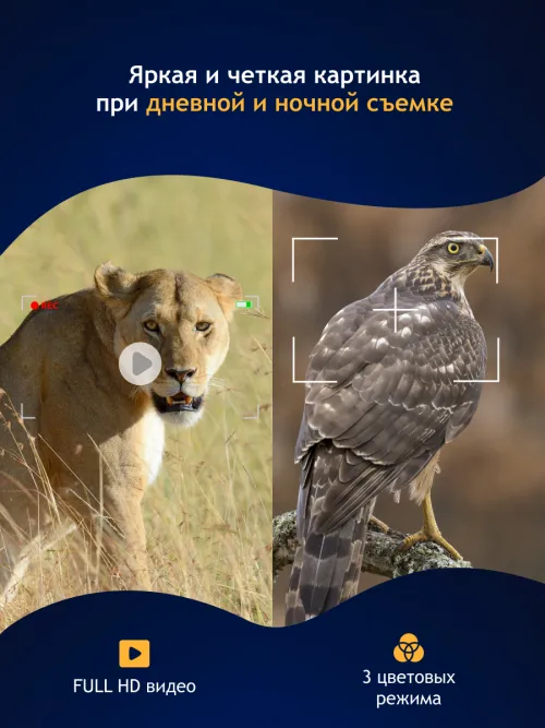 Бинокль цифровой ночного видения Levenhuk Halo NVB10 Helmet, с креплением на шлем картинка