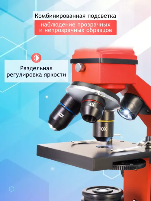 Микроскоп Levenhuk Rainbow 2L PLUS изображение