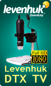 lvh_dtx_tv_180x300_ru.png