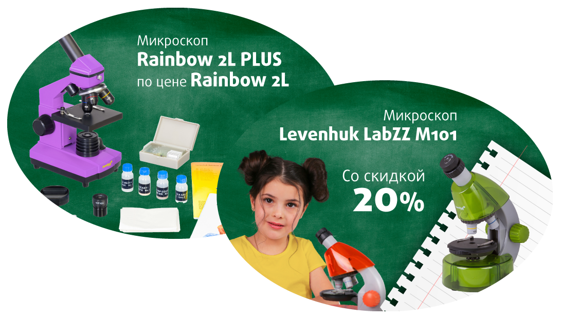 back-to-school-2025pic.png back-to-school-2025pic.png