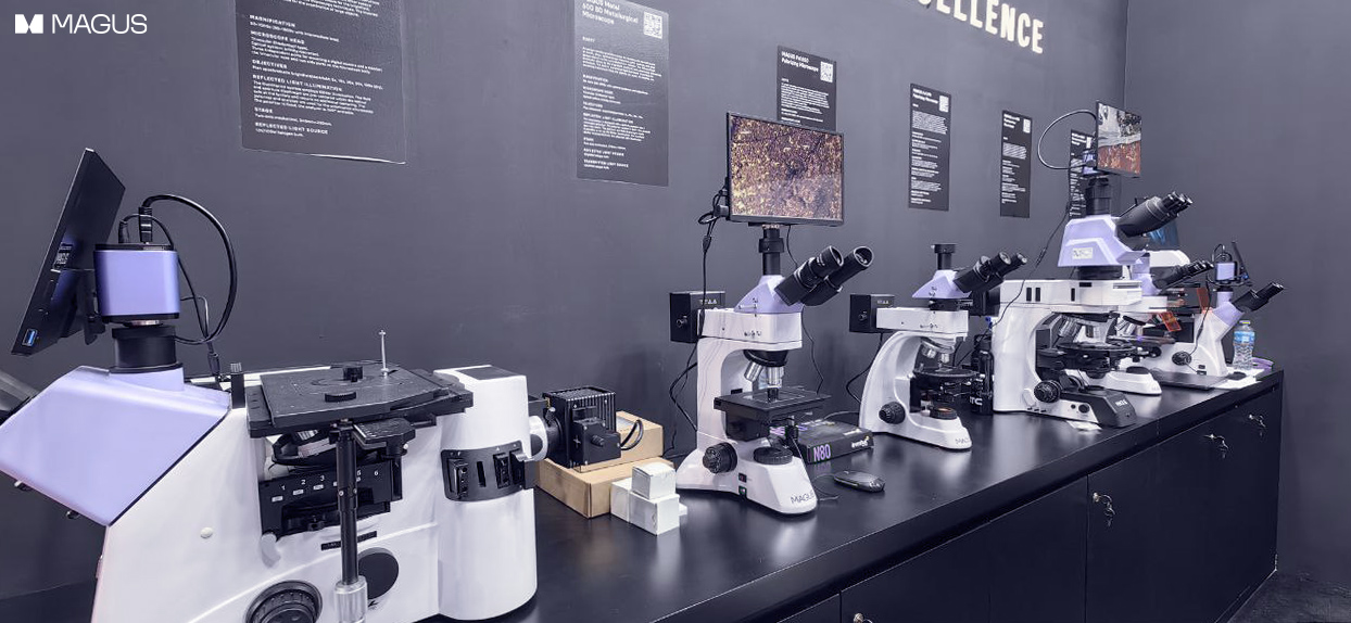 magus-post-2025-05.jpg magus-post-2025-05.jpg