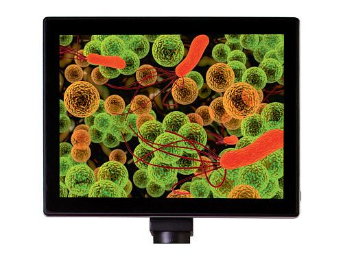 Камера цифровая Levenhuk MED 5 Мпикс с ЖК-экраном 9,4" для микроскопов картинка