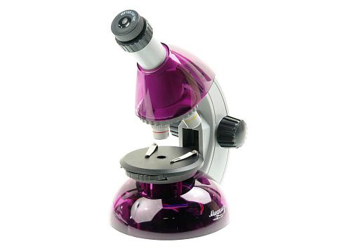 Микроскоп Микромед «Атом» 40–640x, аметист картинка