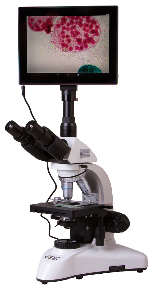 Микроскоп цифровой Levenhuk MED D25T LCD, тринокулярный картинка